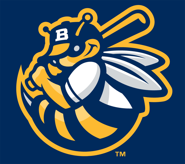 Burlington Bees 2007-Pres Cap Logo iron on paper